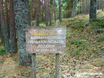 Garganta del Arroyo de Minguete - Puerto de Fuenfría;la barranca de navacerrada navacerrada la barr